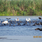 IMG_3776.JPG