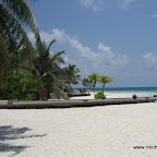 l030.jpg