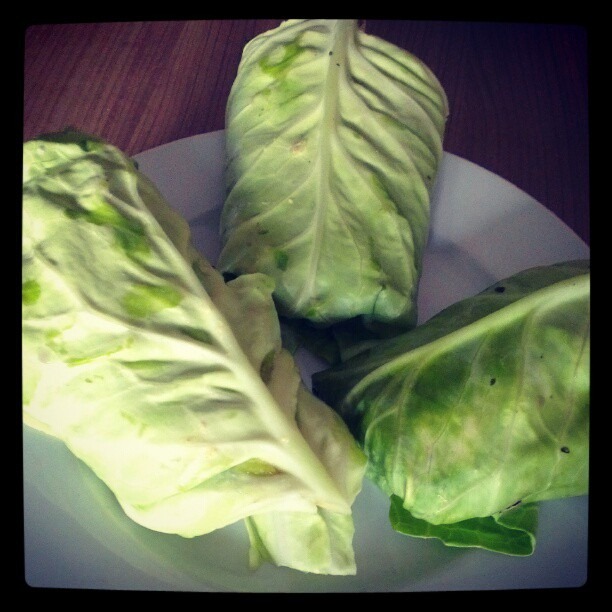 [6%2520Spitzkohl-Wraps%2520gef%25C3%25BCllt%2520mit%2520Hummus%252C%2520B%25C3%25A4rlauch-Tofu%2520und%2520Gem%25C3%25BCse%255B3%255D.jpg]