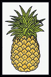pineapple041