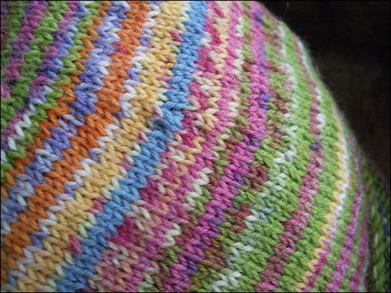 DSCF9234 DSCF9234