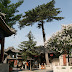 Pic Dailuo : temple sommital
