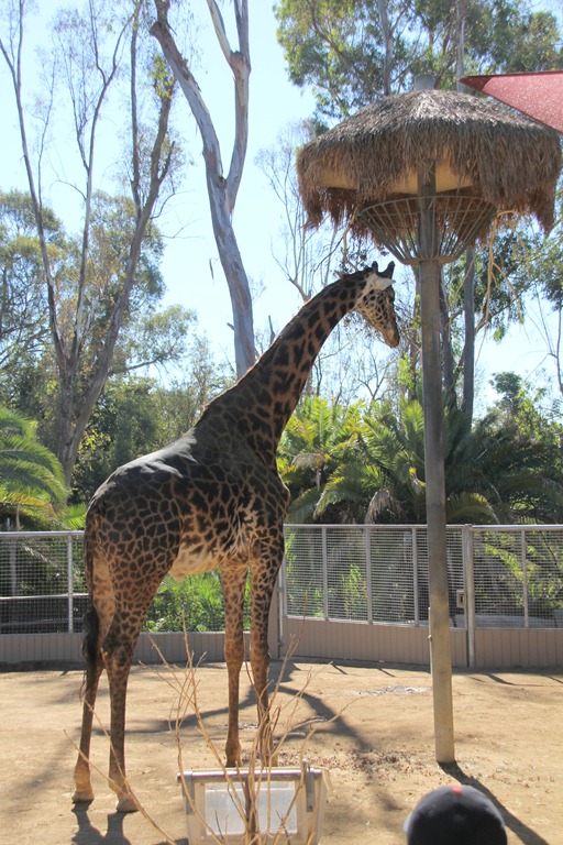 [IMG_3524%255B4%255D.jpg]