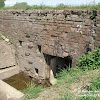dsc06907.jpg