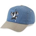 BT%20Caps