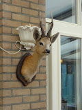 Photo9 111105 Wildwedstrijd