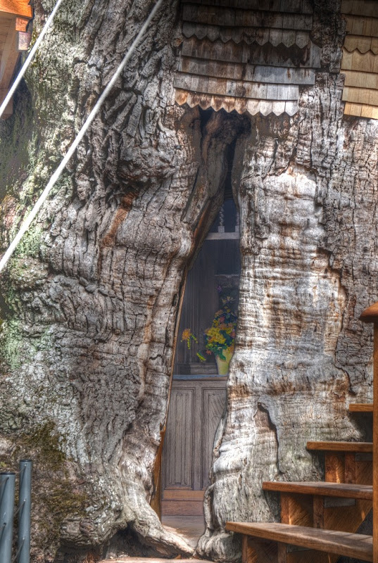 World-oak-chapel-4 world-oak-chapel-4