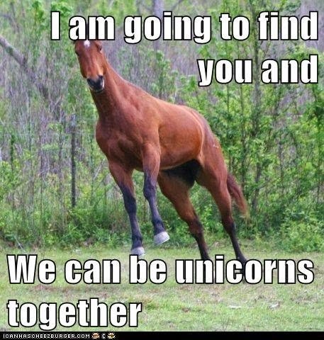 [funny-animal-funny-horse-pictures-with-captions-24-50-funny-horse-pictures-with-captions%255B3%255D.jpg]