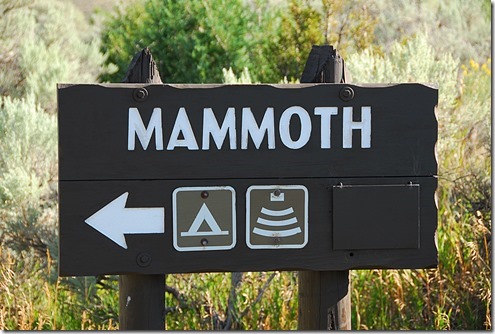 Mammoth Sign