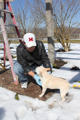 You know that I'm an expert when it comes to cleaning - I've been coached by the best!