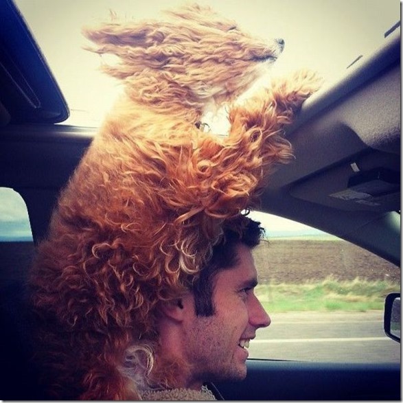 viral-picdump-pics-2
