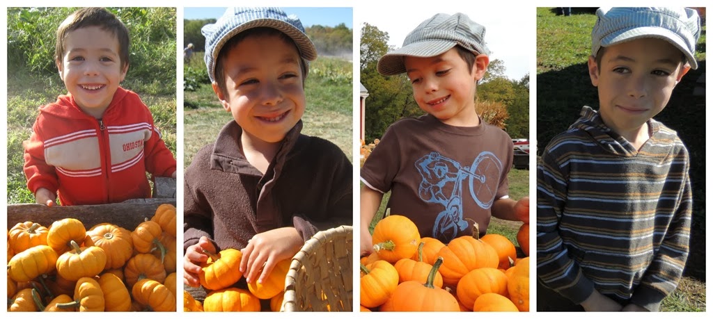 [zacharypumpkins%255B7%255D.jpg]