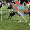 2011 - 2011-05-29 - Alpencup Weer