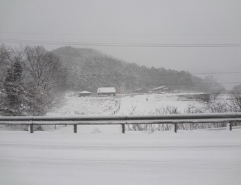 DSC04289 DSC04289