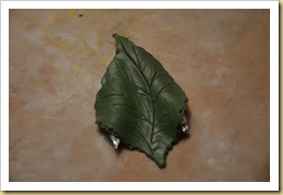 DSC_0573 DSC_0573