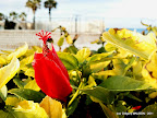 2012-01-01 15.47.57.jpg