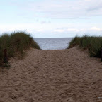 20100825_020_small.JPG