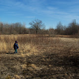 "Michigan Grassland" - copyright Katherine Graham