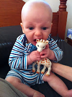 Meet my demands, or the giraffe gets it! (Sophie misses sweet little french children)