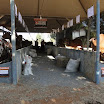 superleite2011_dia1407_03.JPG