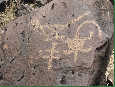 Petroglyph Nat'l Monument 046