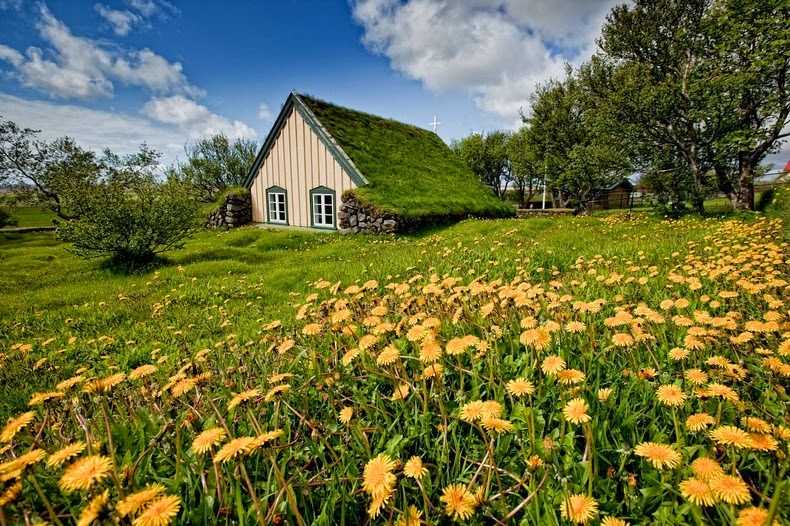 turf-church-hof-3