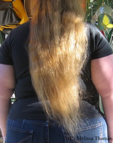 [Hair20092%255B7%255D.jpg]