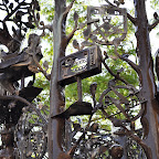 DSC_9366.jpg