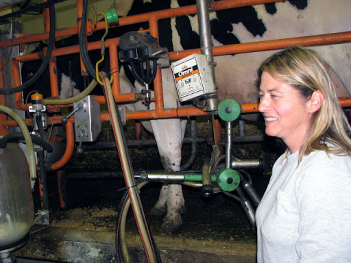 Janice Ling, owner of Robthom farms in Springfield, says she's been milking cows for over 40 years. (Photo credit: Jennifer Moore)