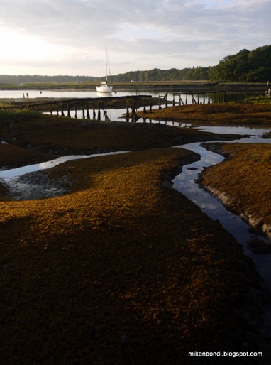 Beaulieu River 6.57am