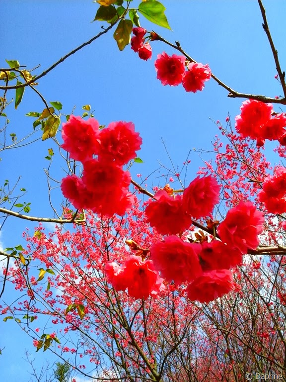 [2014-01-31%252012.32.29%255B6%255D.jpg]