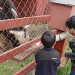 P1090624.JPG