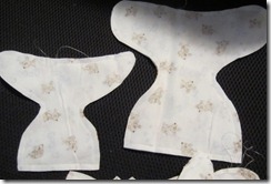 IMG_1484 IMG_1484