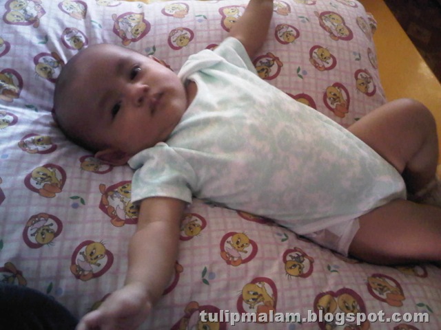 [IMG02158-20111225-1713%255B2%255D.jpg]