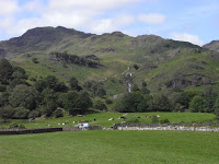 RIMG0092.JPG Photo