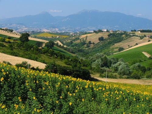 [monteprandone-marche%255B2%255D.jpg]