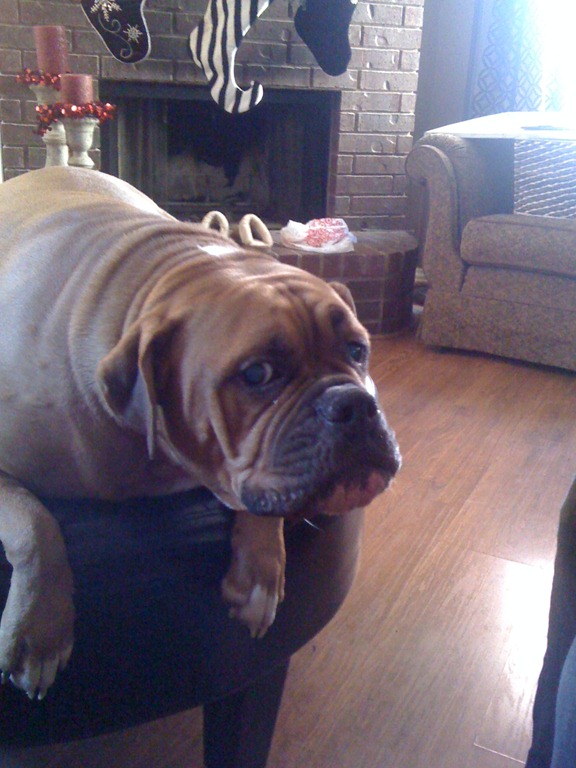 [IMG_0658%255B3%255D.jpg]