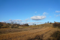 P1090783.JPG