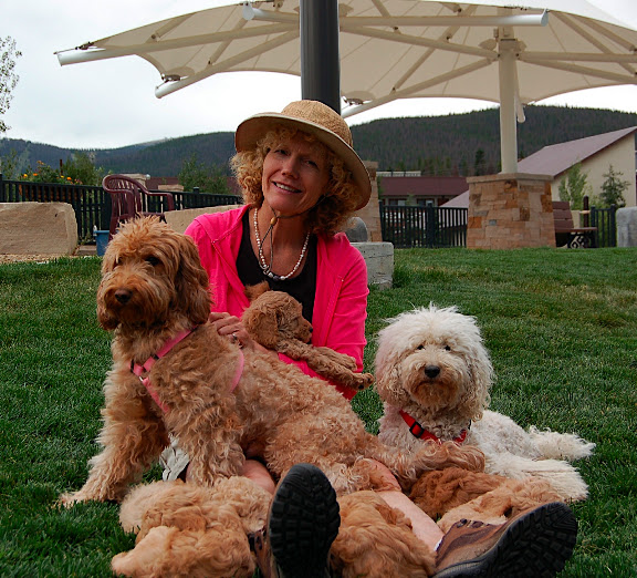 Fabulous fun with Mama Labradoodles and Puppies