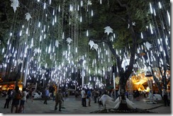 Ayala Triangle Park Christmas Show