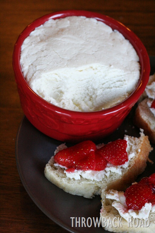 [farmers%2520cheese%2520046%255B3%255D.jpg]