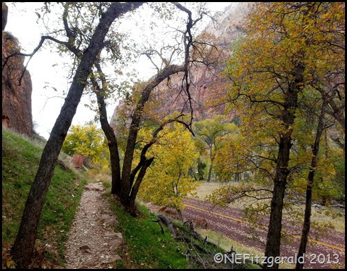 012AutumnZion GrottoTrail 012AutumnZion GrottoTrail