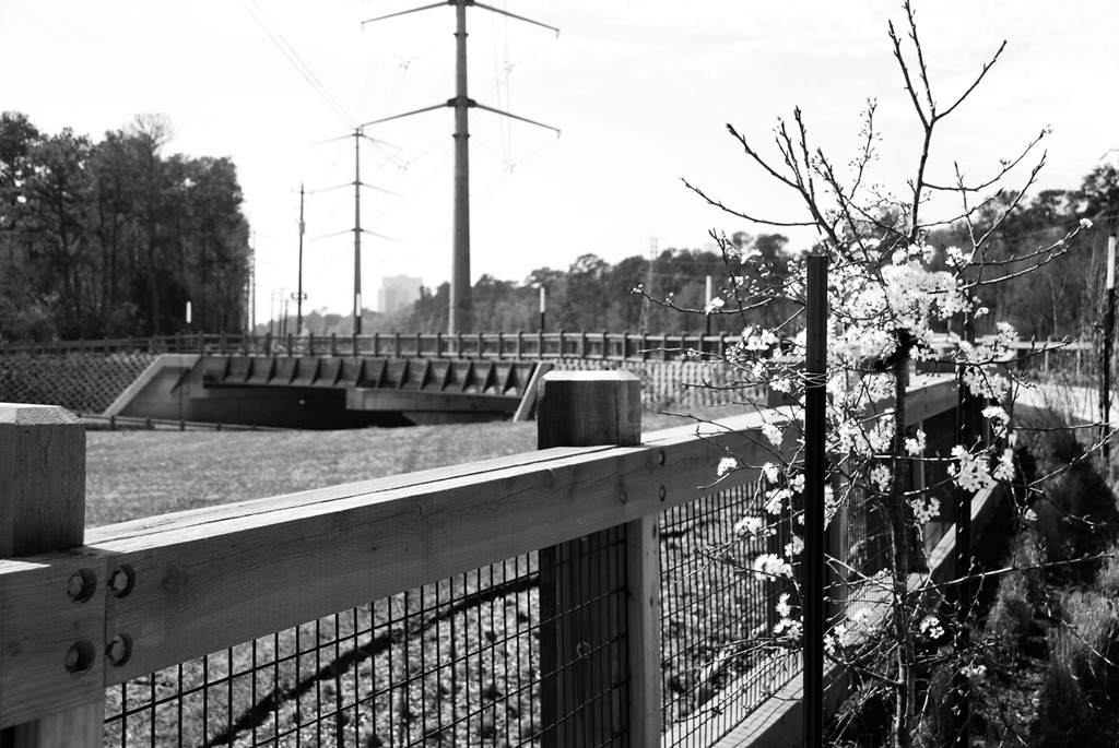 [DSC_1686%2520BW%255B4%255D.jpg]