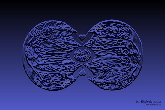 pm_20110831_bluelove1relief pm_20110831_bluelove1relief