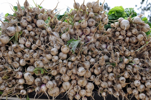 [fall%2520produce%25201112%2520%252853%2529%255B3%255D.jpg]