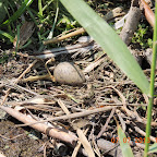 DSCN9547.JPG