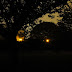 DSC03692.JPG