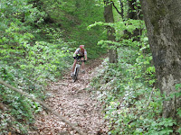 IMG_3579.JPG