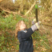 DSCN0231.JPG