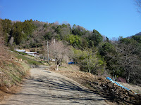 P1100734.JPG Photo